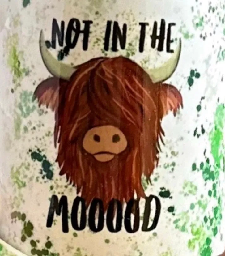 Brown Coo Not Today Heifer and Not in the Mooood 16oz Frosted Beer Can Glass with Bamboo Lid and Straw