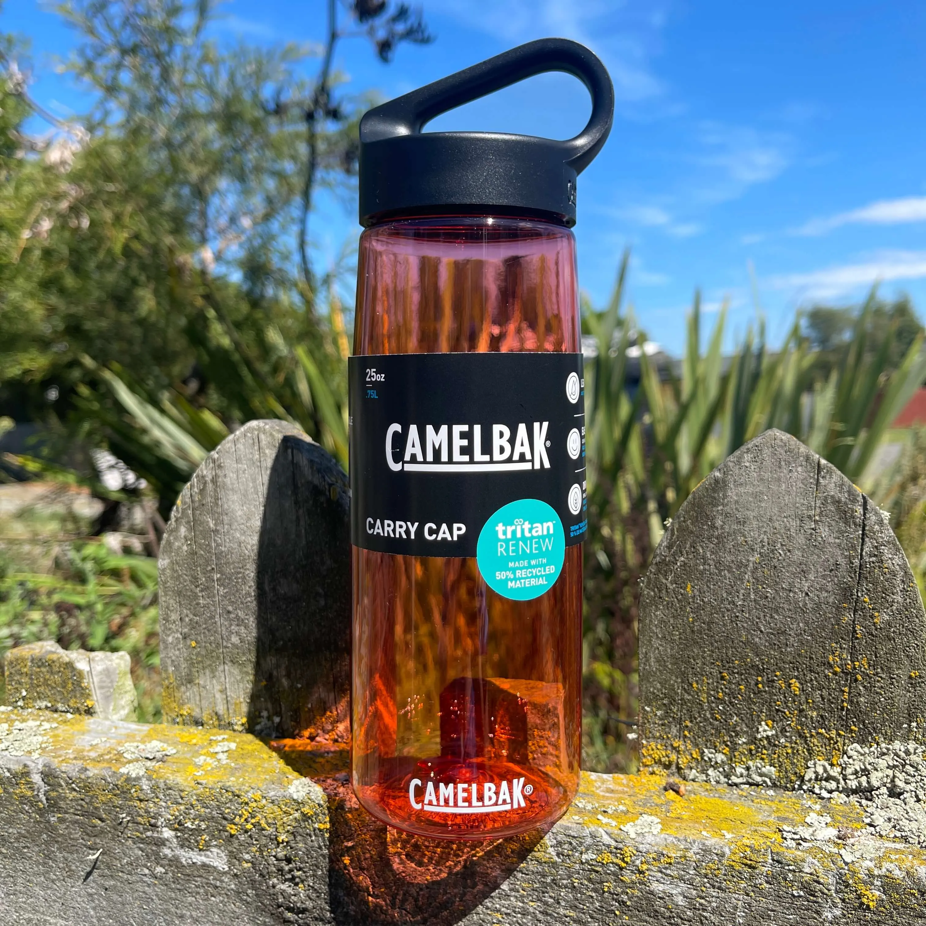 Camelbak Carry Cap Drink Bottle - Rose