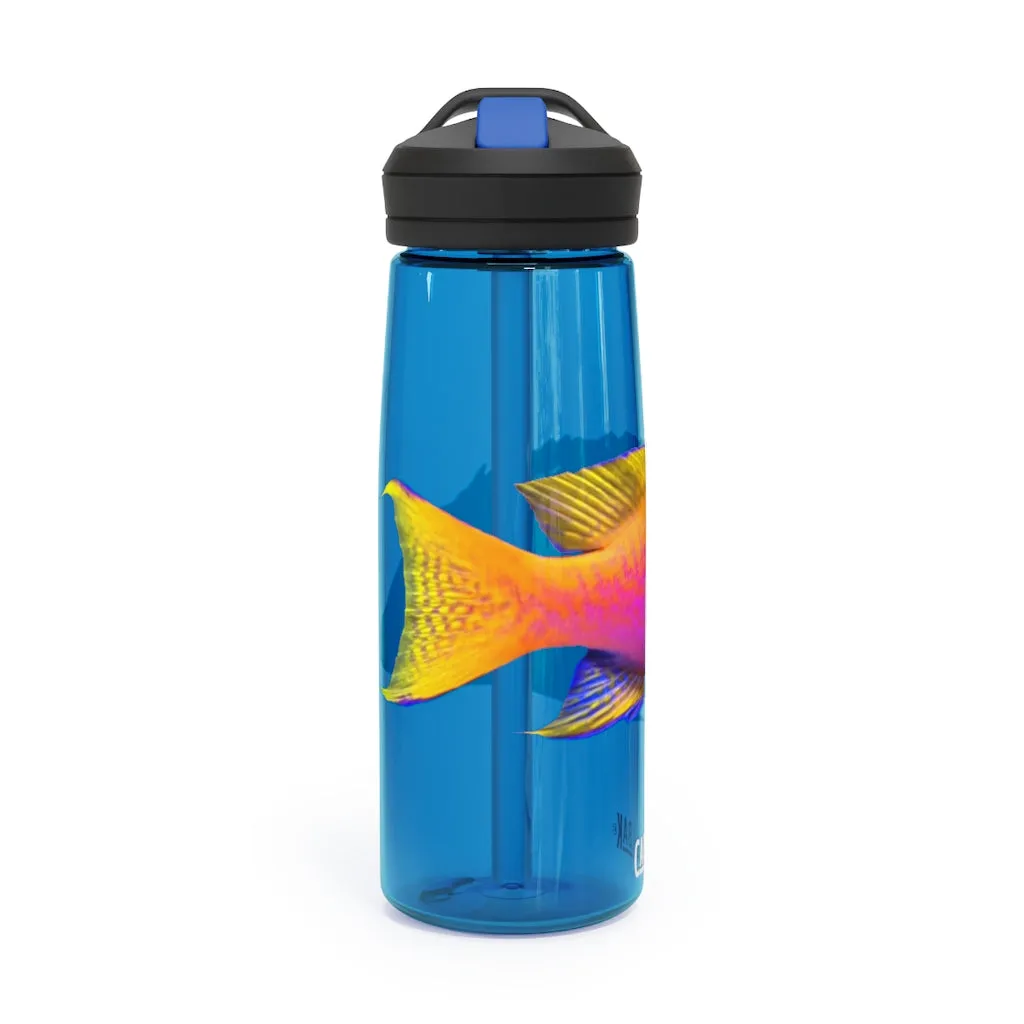 Colored Fish CamelBak Eddy®  Water Bottle, 20oz / 25oz