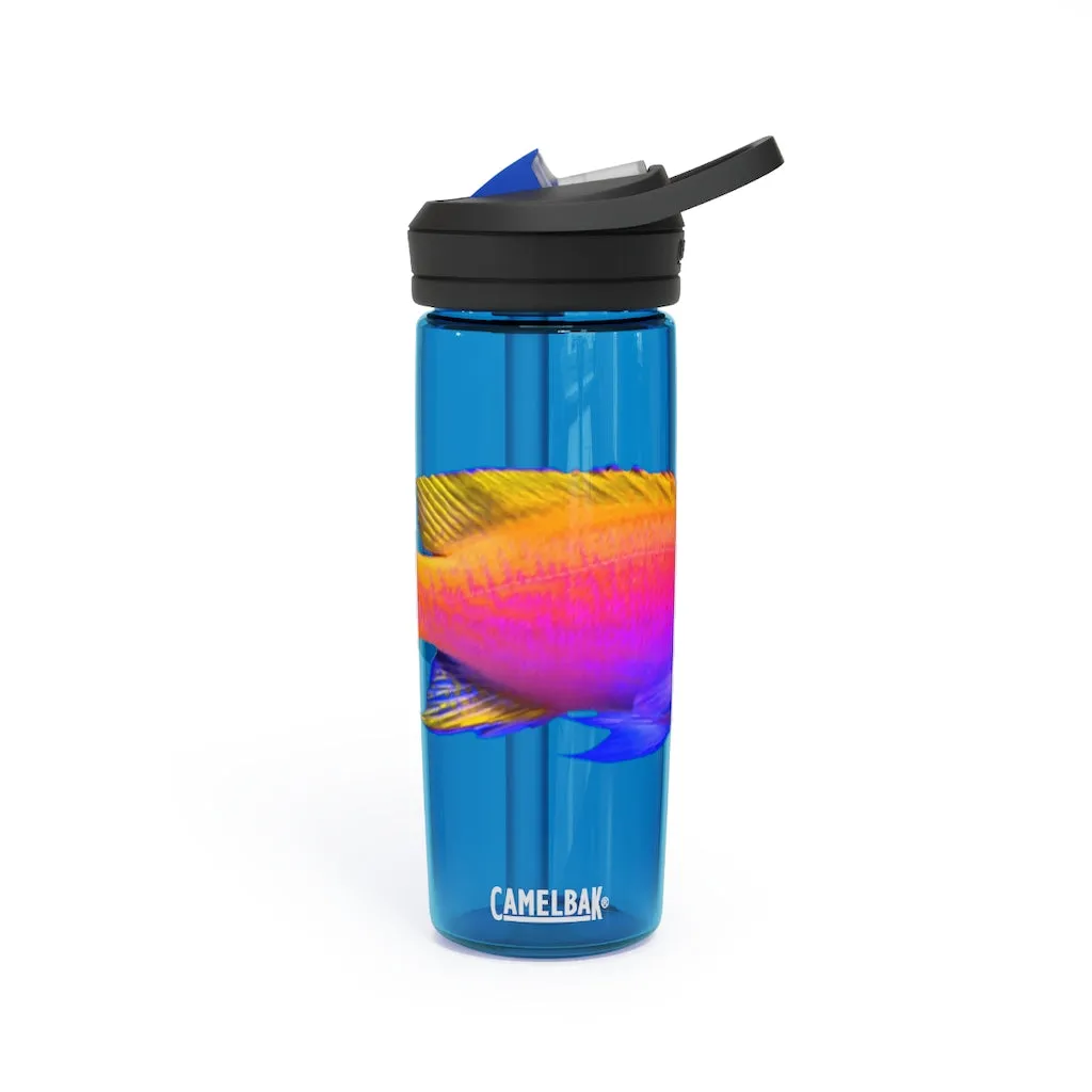 Colored Fish CamelBak Eddy®  Water Bottle, 20oz / 25oz