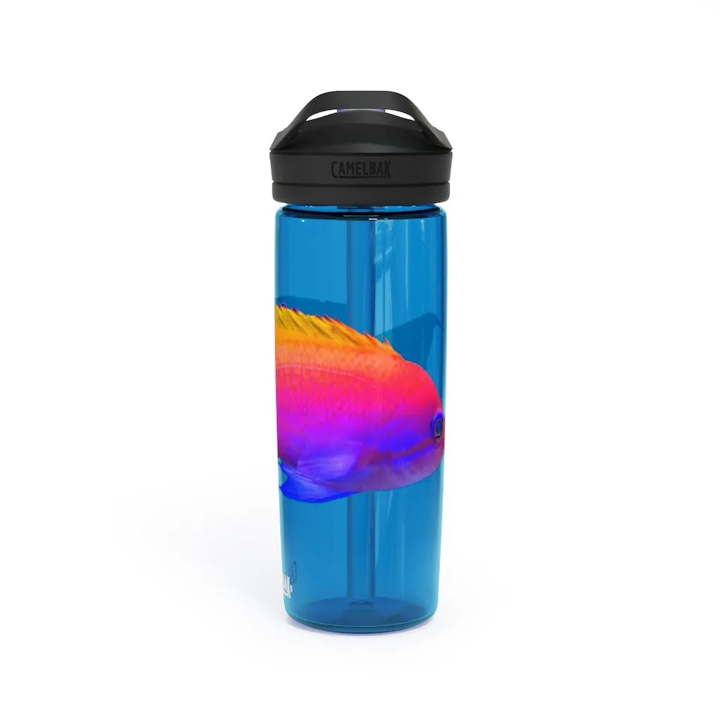 Colored Fish CamelBak Eddy®  Water Bottle, 20oz / 25oz