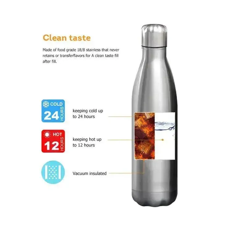 Galaxy Cola Metal Water Bottle (500 ml)