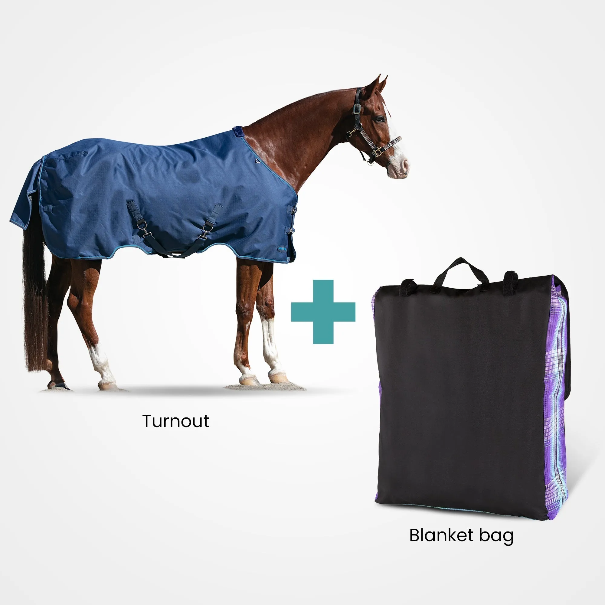 Kensington Bundle - Pony Light Weight Turnout & Blanket Bag