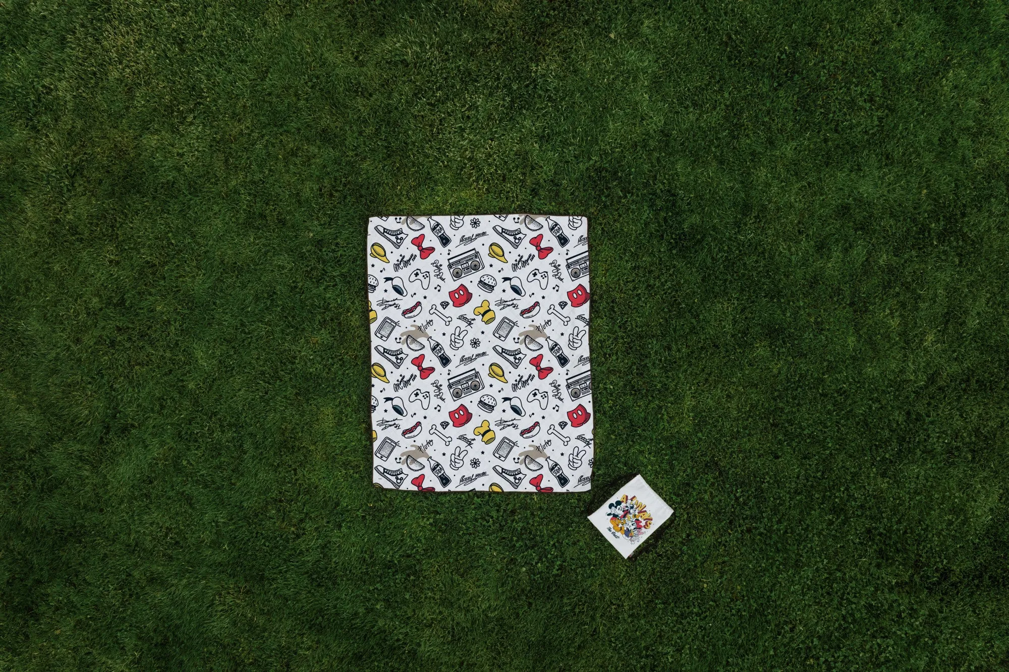 Mickey & Friends - Impresa Picnic Blanket