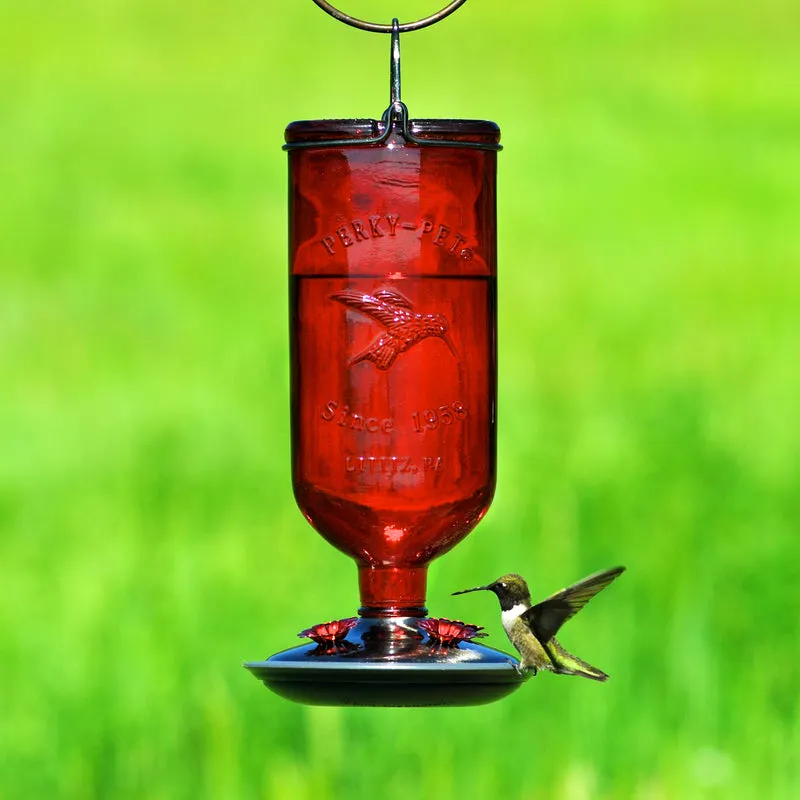 Perky-Pet Hummingbird 16 oz Glass/Metal/Plastic Nectar Feeder 4 ports