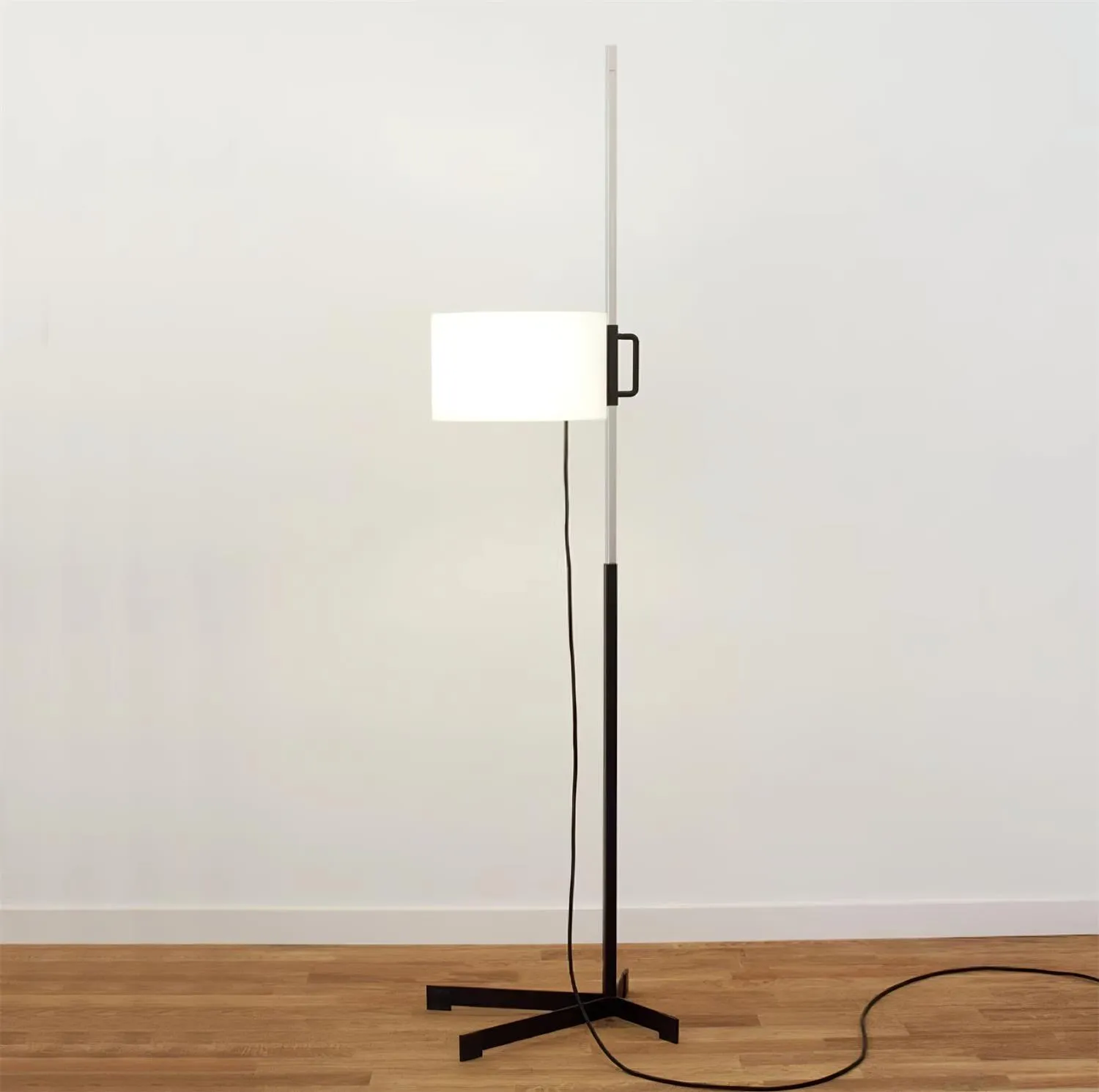 TMC Floor Lamp