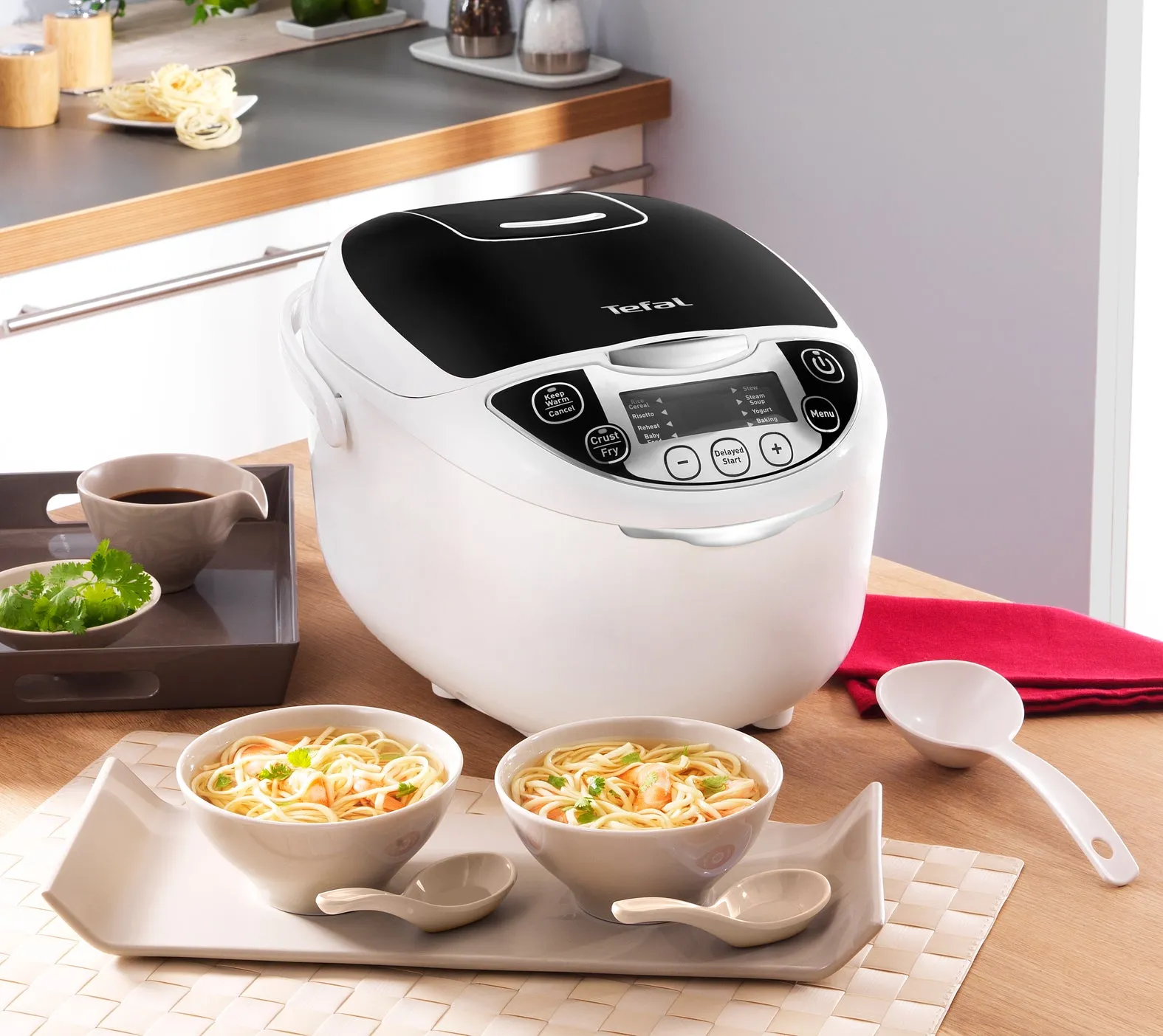 User manual and frequently asked questions Tefal 10 in 1 RK705 Rice & Multi Cooker